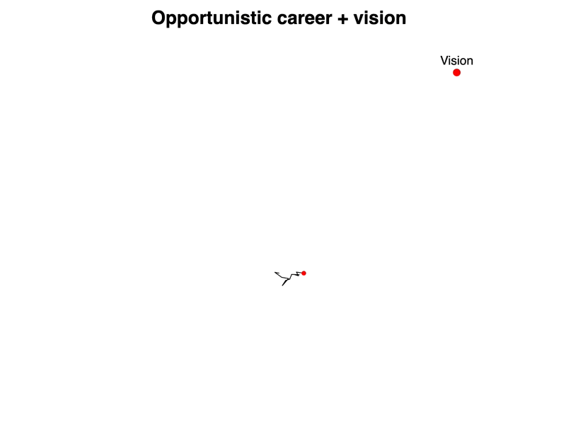 Opportunistic career with a dash of vision