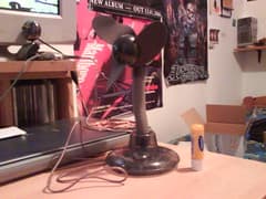 heat deterrant system
