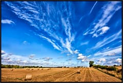August Sky.