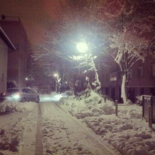 Winter wonderland