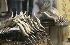 soba fest 095