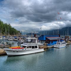 Salish Mist Salish Mist