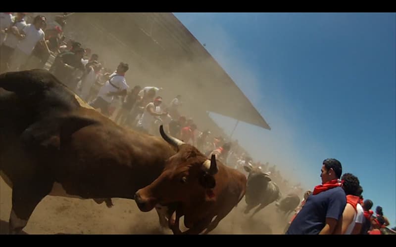 Closest the bulls got to me Closest the bulls got to me