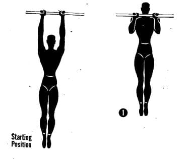 Pullups Pullups