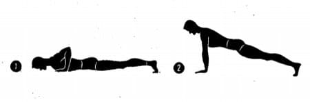 Pushups Pushups