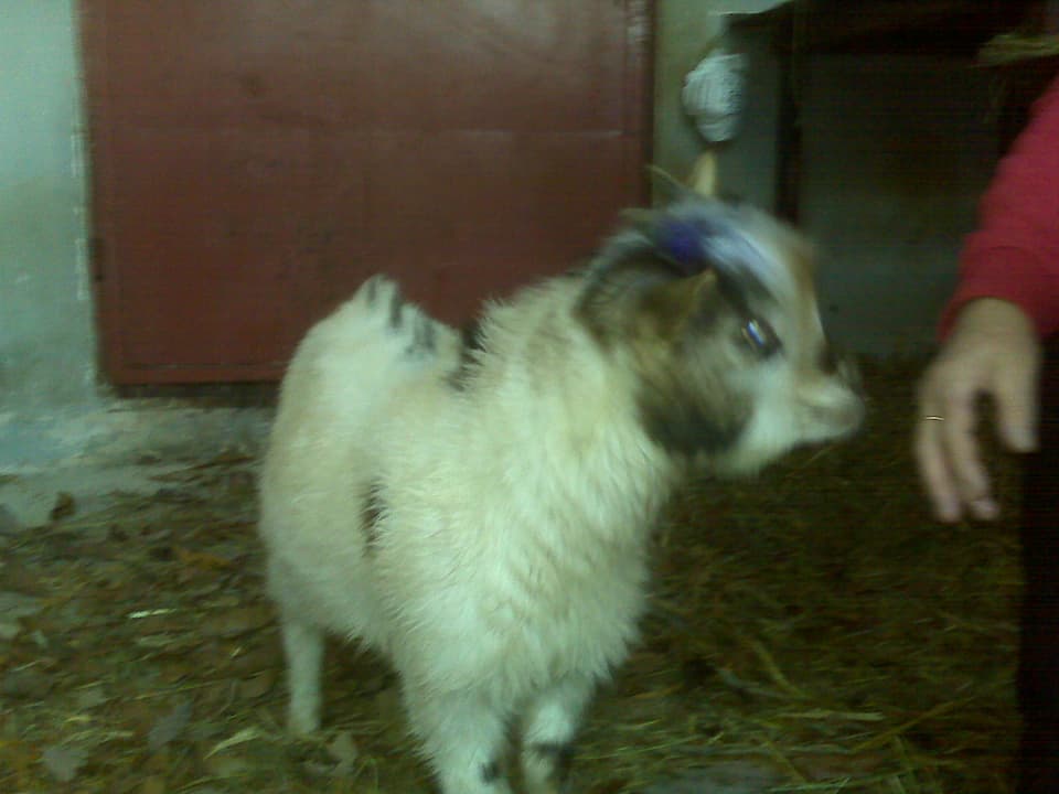 IMG00090 IMG00090