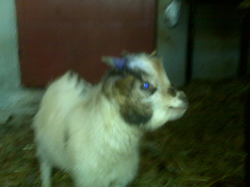 IMG00104 IMG00104