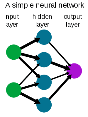 Simple neural network, Italian nouns Simple neural network, Italian nouns