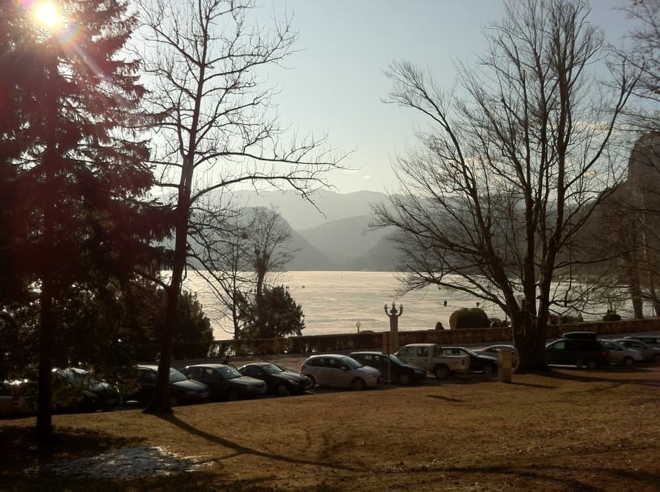 Shore view Shore view