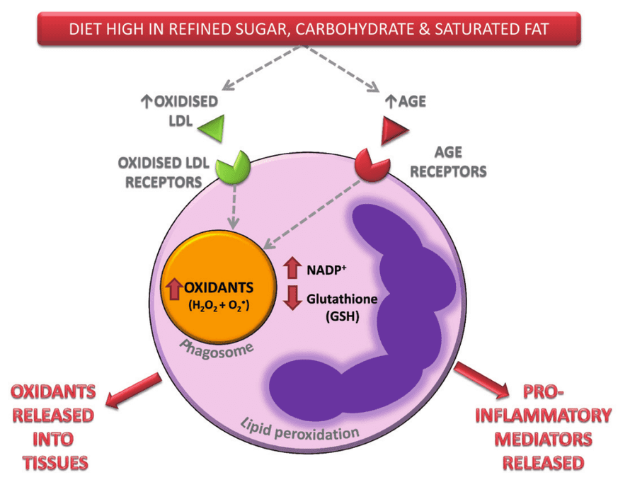 Bad diet → inflamation