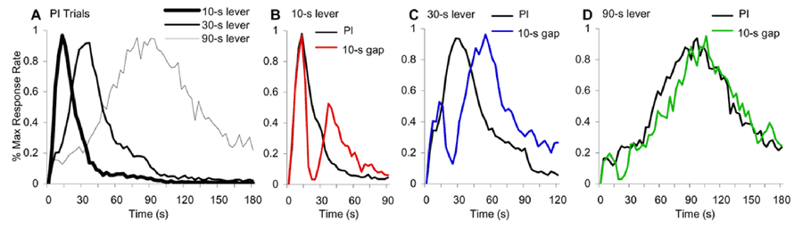 Response rates during probe trials and with 10s gap