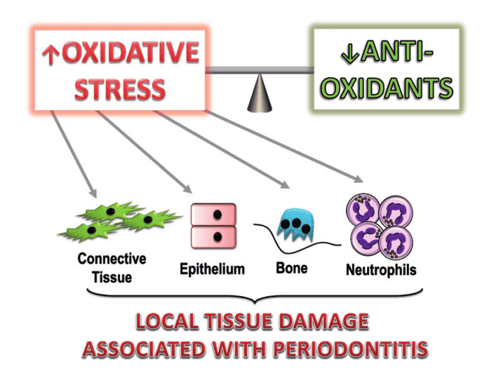 Oxidative stress causes inflammation