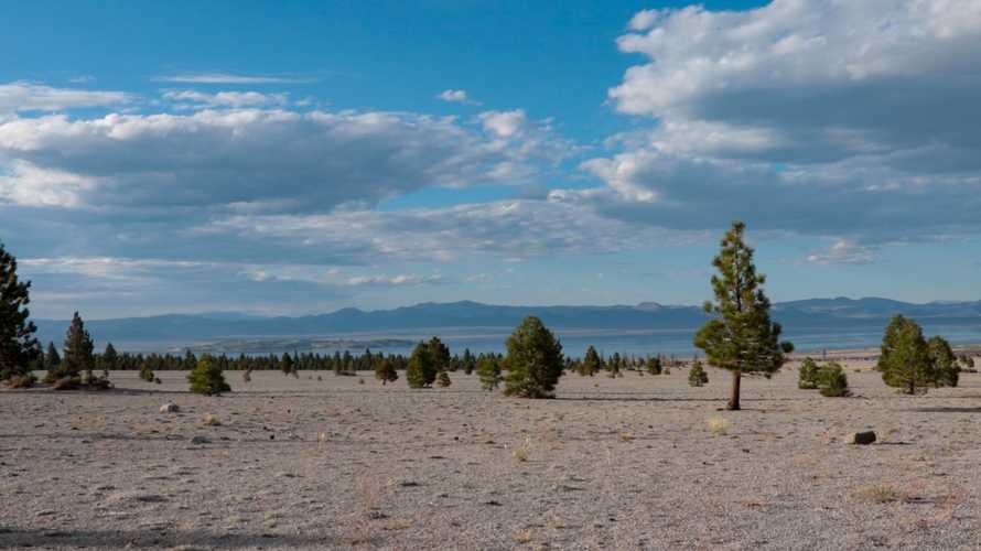 The scenery around Mono Lake was one of my favs. So desolate and alien. All these are volcanic craters, actually