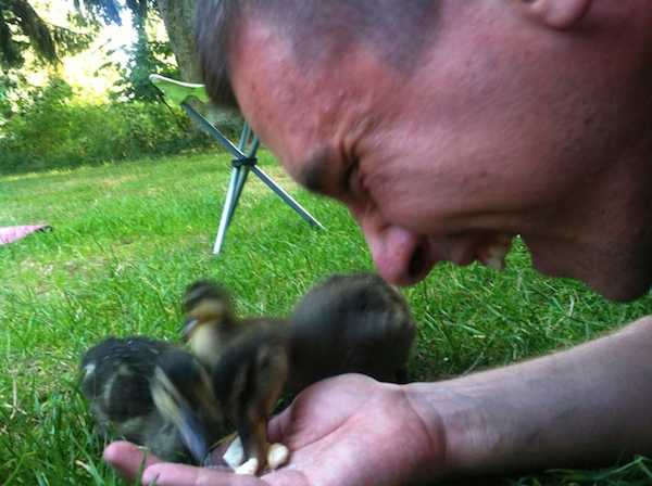 In Belgium we fed baby dinosaurs