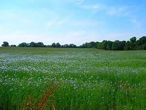 Meadow near Gard's Farm Taken from the bridlew...