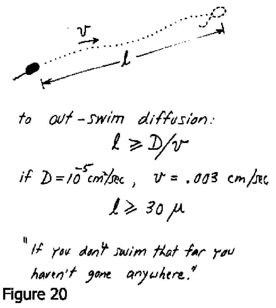 Outrunning diffusion