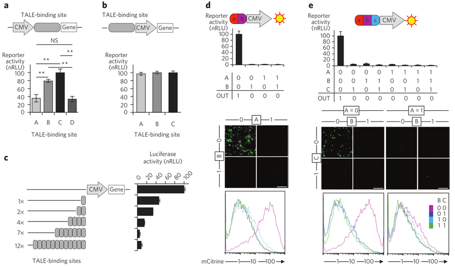 Design of single-layer genetic NOR gates